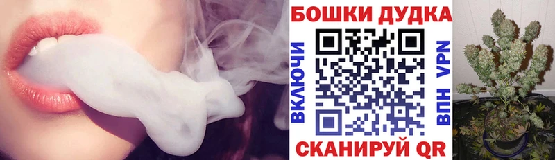 blacksprut   Олёкминск  Конопля сатива 